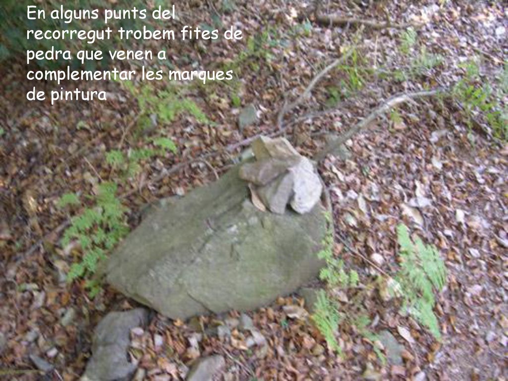 En alguns punts del recorregut trobem fites de pedra que venen a complementar les marques de pintura