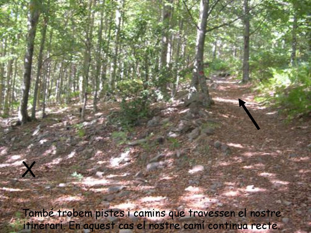 X També trobem pistes i camins que travessen el nostre itinerari.