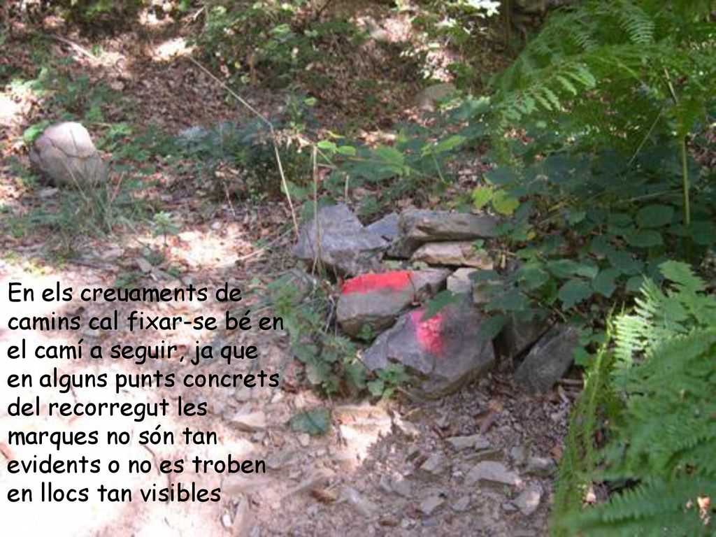En els creuaments de camins cal fixar-se bé en el camí a seguir, ja que en alguns punts concrets del recorregut les marques no són tan evidents o no es troben en llocs tan visibles
