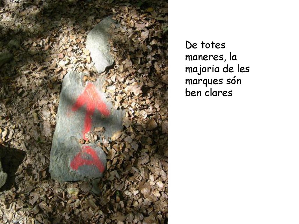De totes maneres, la majoria de les marques són ben clares
