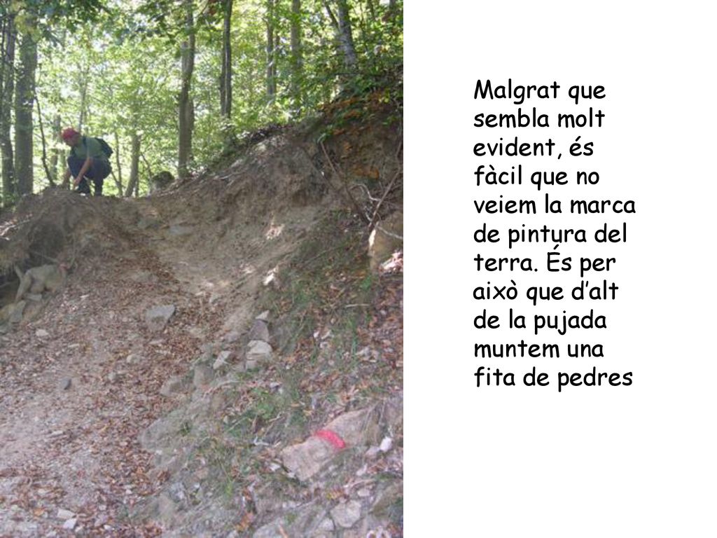 Malgrat que sembla molt evident, és fàcil que no veiem la marca de pintura del terra.