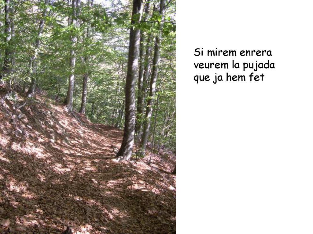 Si mirem enrera veurem la pujada que ja hem fet