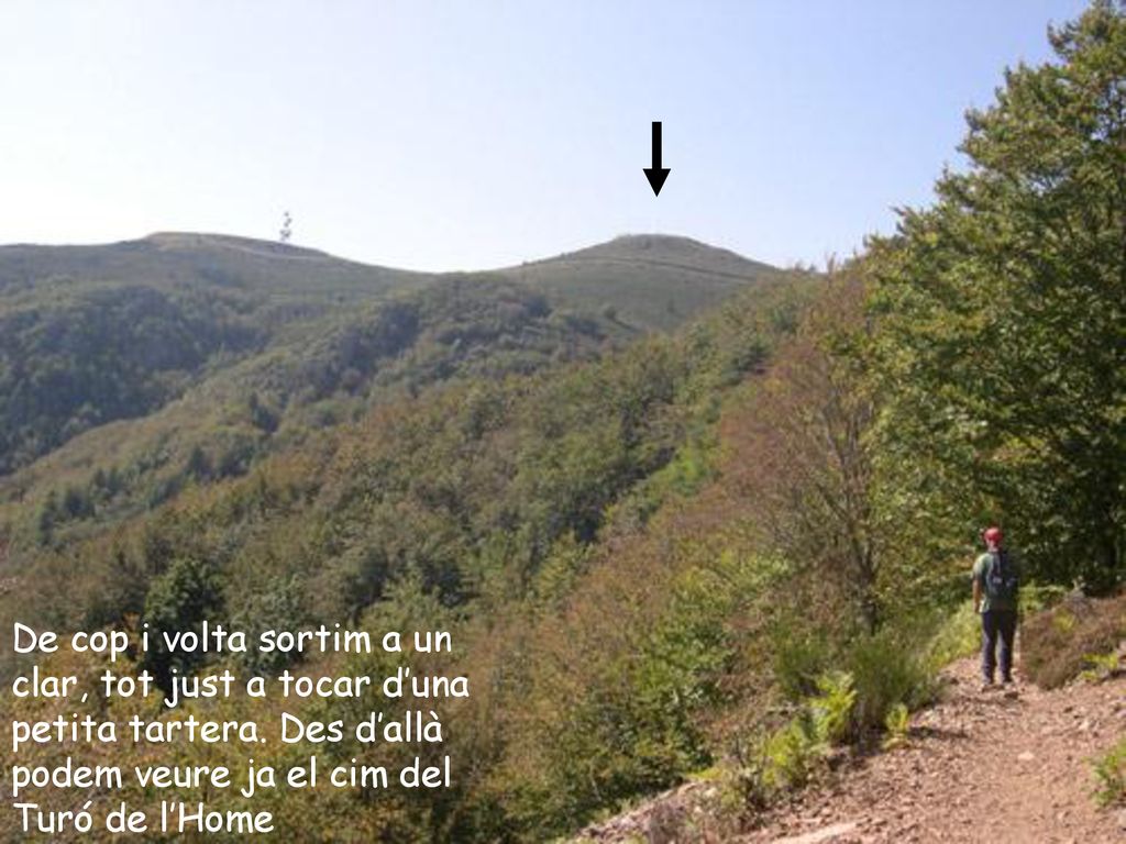 De cop i volta sortim a un clar, tot just a tocar d’una petita tartera