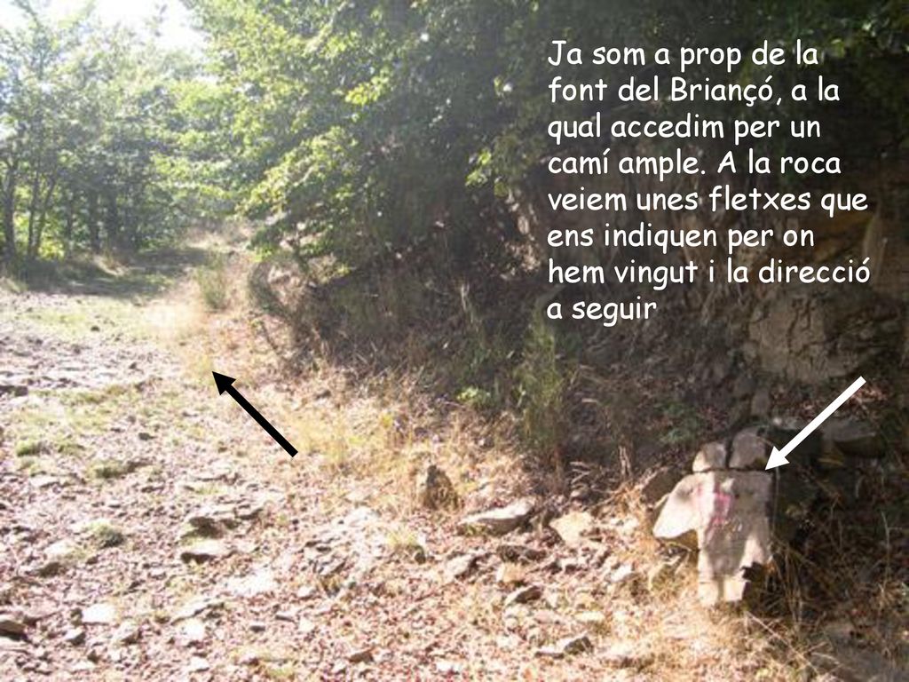Ja som a prop de la font del Briançó, a la qual accedim per un camí ample.