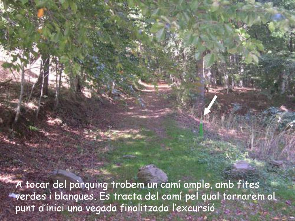 A tocar del pàrquing trobem un camí ample, amb fites verdes i blanques