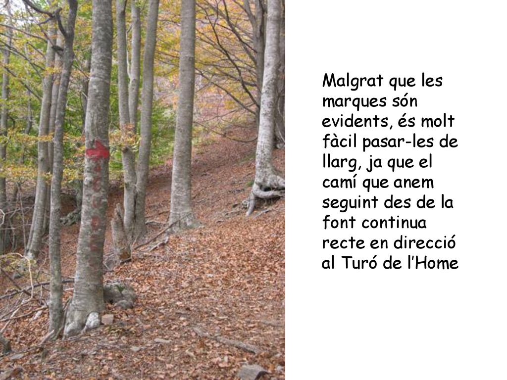 Malgrat que les marques són evidents, és molt fàcil pasar-les de llarg, ja que el camí que anem seguint des de la font continua recte en direcció al Turó de l’Home