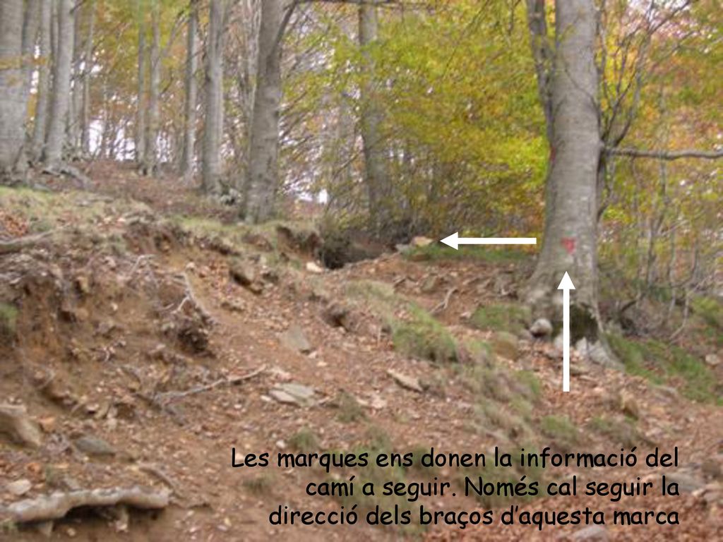 Les marques ens donen la informació del camí a seguir