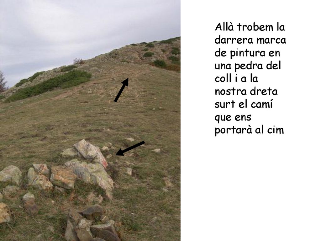 Allà trobem la darrera marca de pintura en una pedra del coll i a la nostra dreta surt el camí que ens portarà al cim
