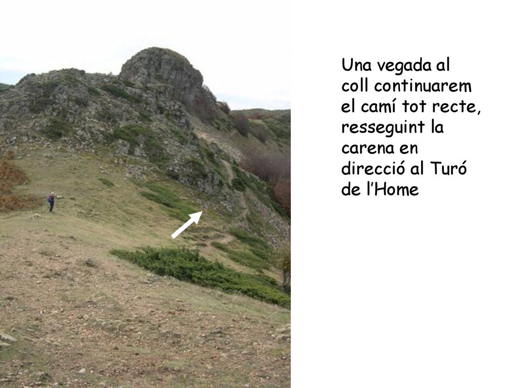 Una vegada al coll continuarem el camí tot recte, resseguint la carena en direcció al Turó de l’Home