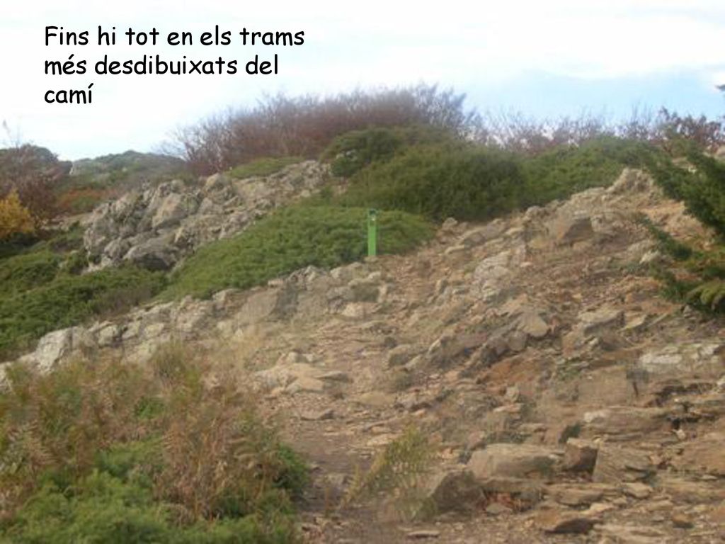 Fins hi tot en els trams més desdibuixats del camí