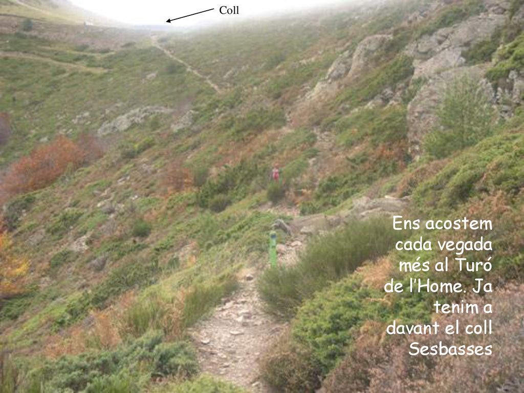 Coll Ens acostem cada vegada més al Turó de l’Home. Ja tenim a davant el coll Sesbasses