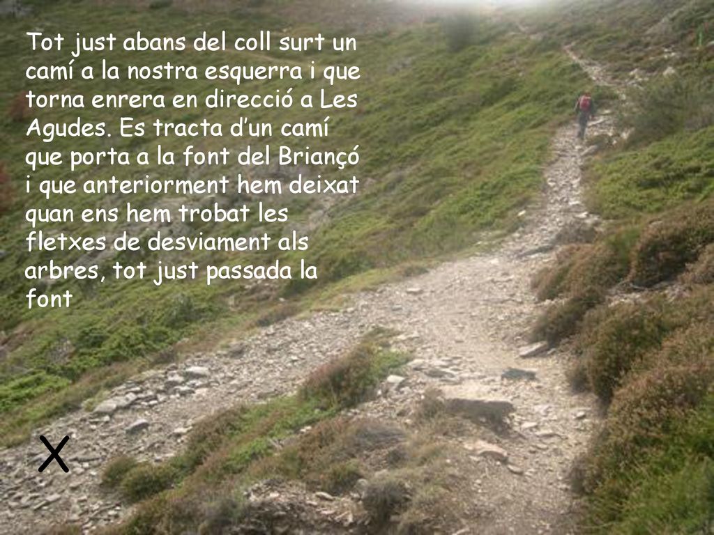 Tot just abans del coll surt un camí a la nostra esquerra i que torna enrera en direcció a Les Agudes. Es tracta d’un camí que porta a la font del Briançó i que anteriorment hem deixat quan ens hem trobat les fletxes de desviament als arbres, tot just passada la font