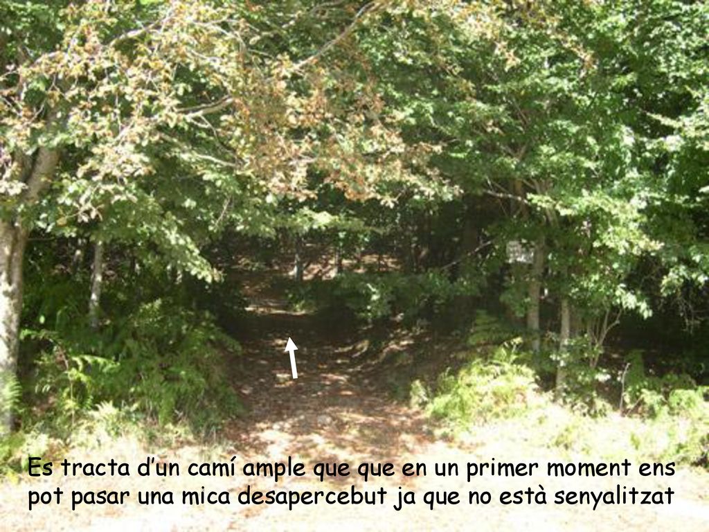 Es tracta d’un camí ample que que en un primer moment ens pot pasar una mica desapercebut ja que no està senyalitzat