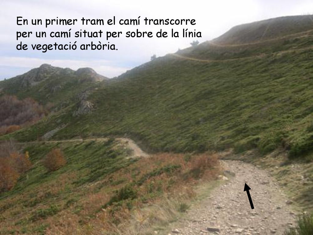 En un primer tram el camí transcorre per un camí situat per sobre de la línia de vegetació arbòria.