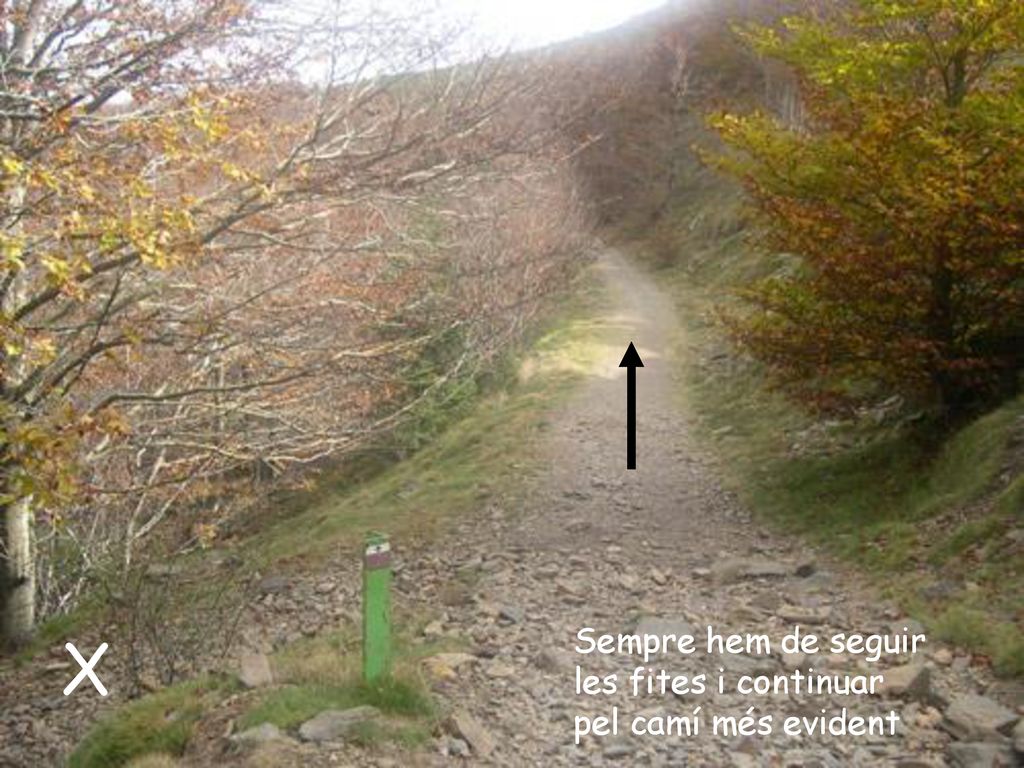 Sempre hem de seguir les fites i continuar pel camí més evident