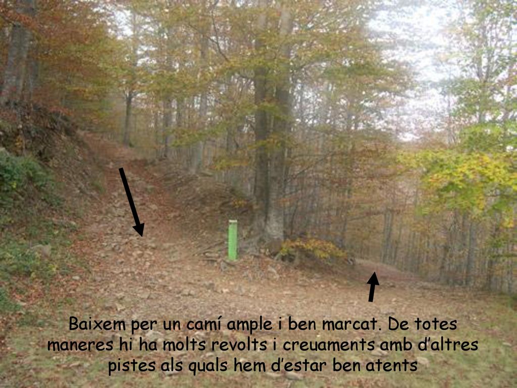 Baixem per un camí ample i ben marcat