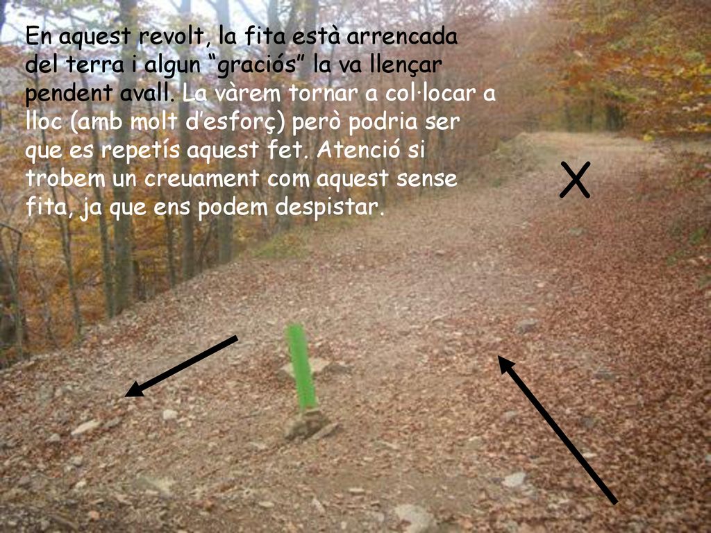 En aquest revolt, la fita està arrencada del terra i algun graciós la va llençar pendent avall. La vàrem tornar a col·locar a lloc (amb molt d’esforç) però podria ser que es repetís aquest fet. Atenció si trobem un creuament com aquest sense fita, ja que ens podem despistar.