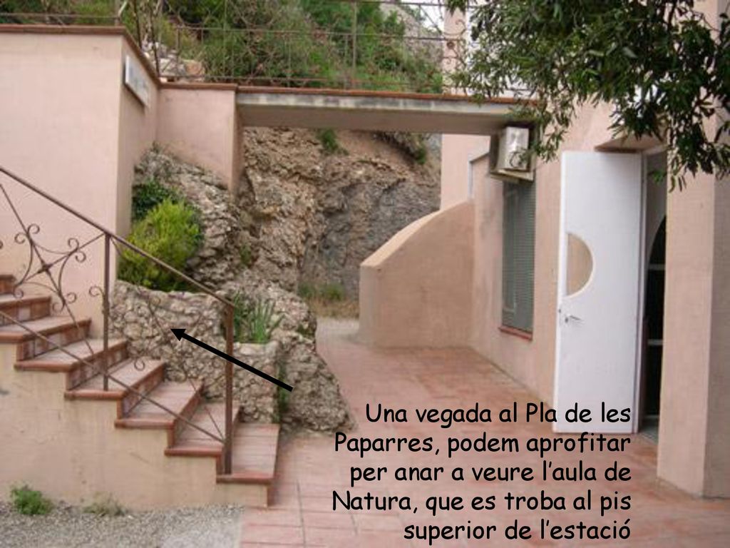 Una vegada al Pla de les Paparres, podem aprofitar per anar a veure l’aula de Natura, que es troba al pis superior de l’estació