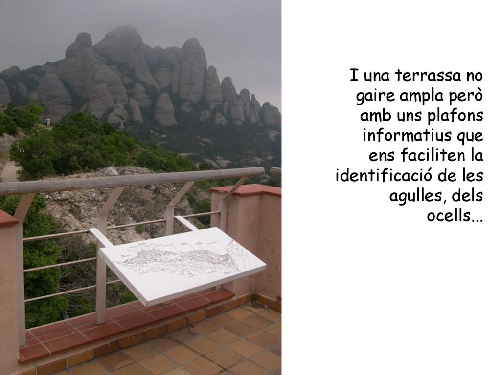 I una terrassa no gaire ampla però amb uns plafons informatius que ens faciliten la identificació de les agulles, dels ocells...