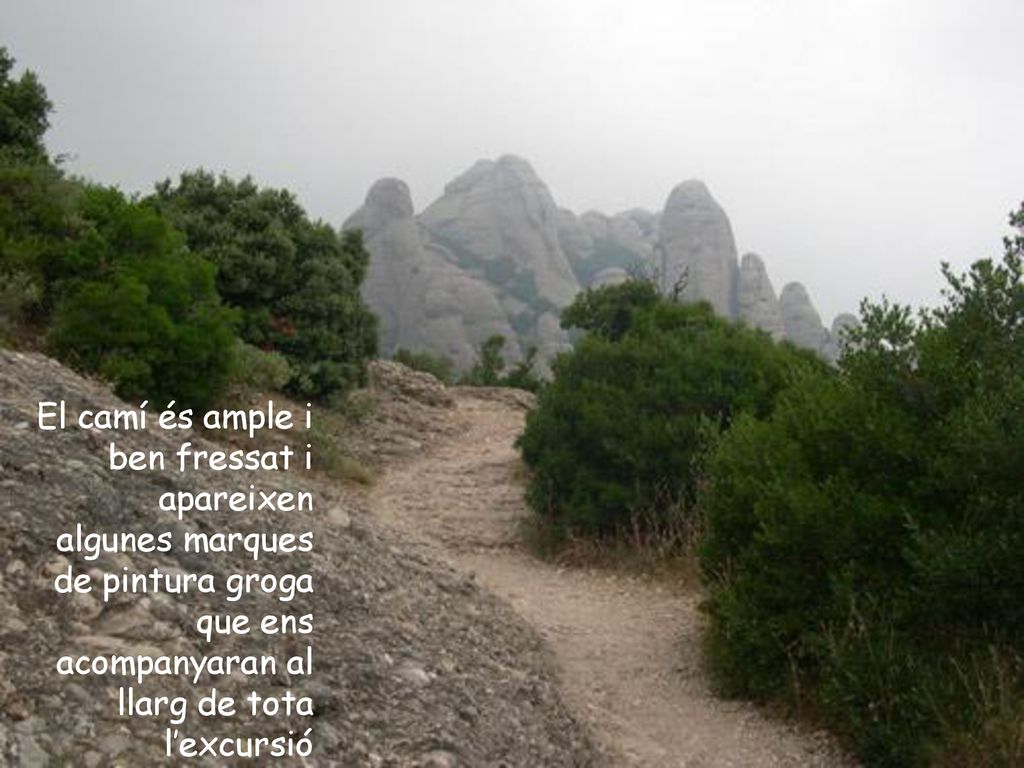 El camí és ample i ben fressat i apareixen algunes marques de pintura groga que ens acompanyaran al llarg de tota l’excursió