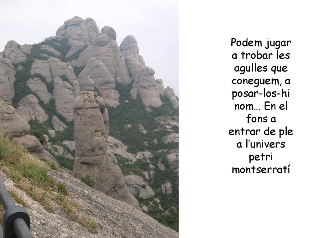 Podem jugar a trobar les agulles que coneguem, a posar-los-hi nom… En el fons a entrar de ple a l’univers petri montserratí
