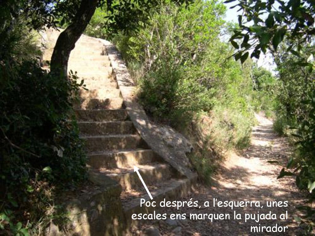 Poc després, a l’esquerra, unes escales ens marquen la pujada al mirador