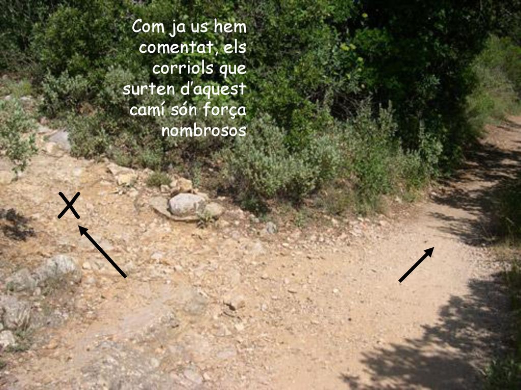 X Com ja us hem comentat, els corriols que surten d’aquest camí són força nombrosos