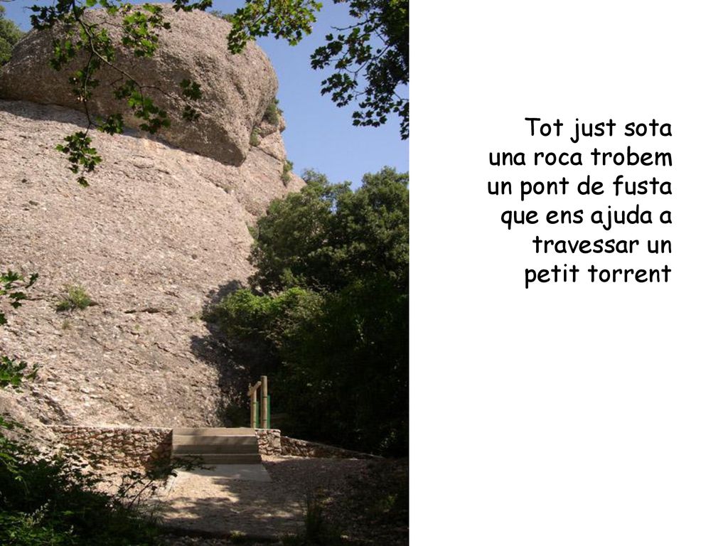 Tot just sota una roca trobem un pont de fusta que ens ajuda a travessar un petit torrent