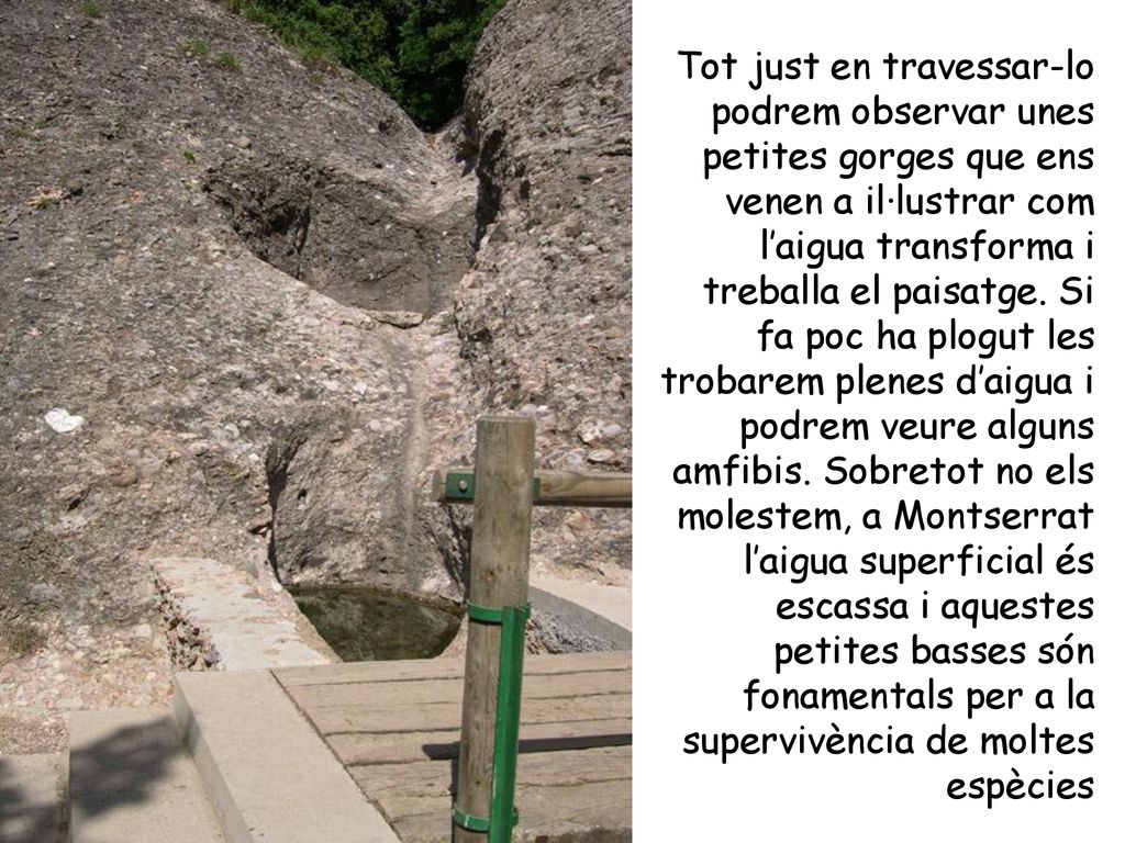 Tot just en travessar-lo podrem observar unes petites gorges que ens venen a il·lustrar com l’aigua transforma i treballa el paisatge.