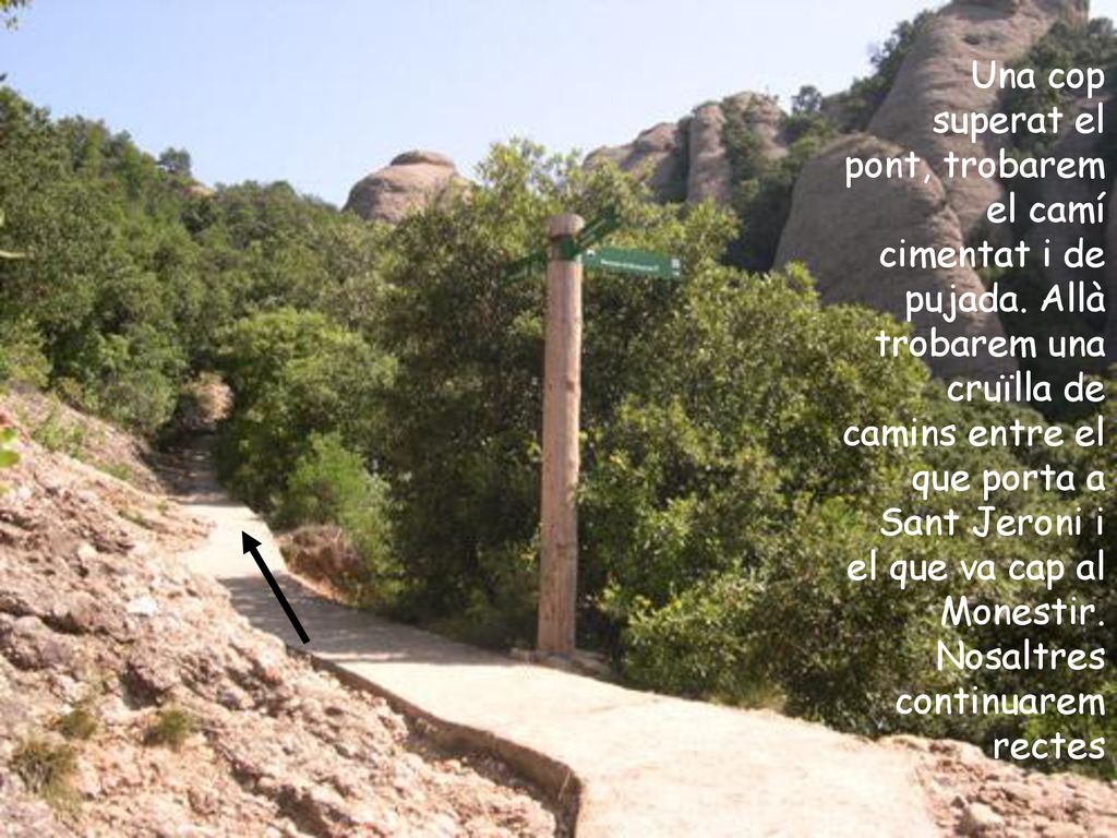 Una cop superat el pont, trobarem el camí cimentat i de pujada