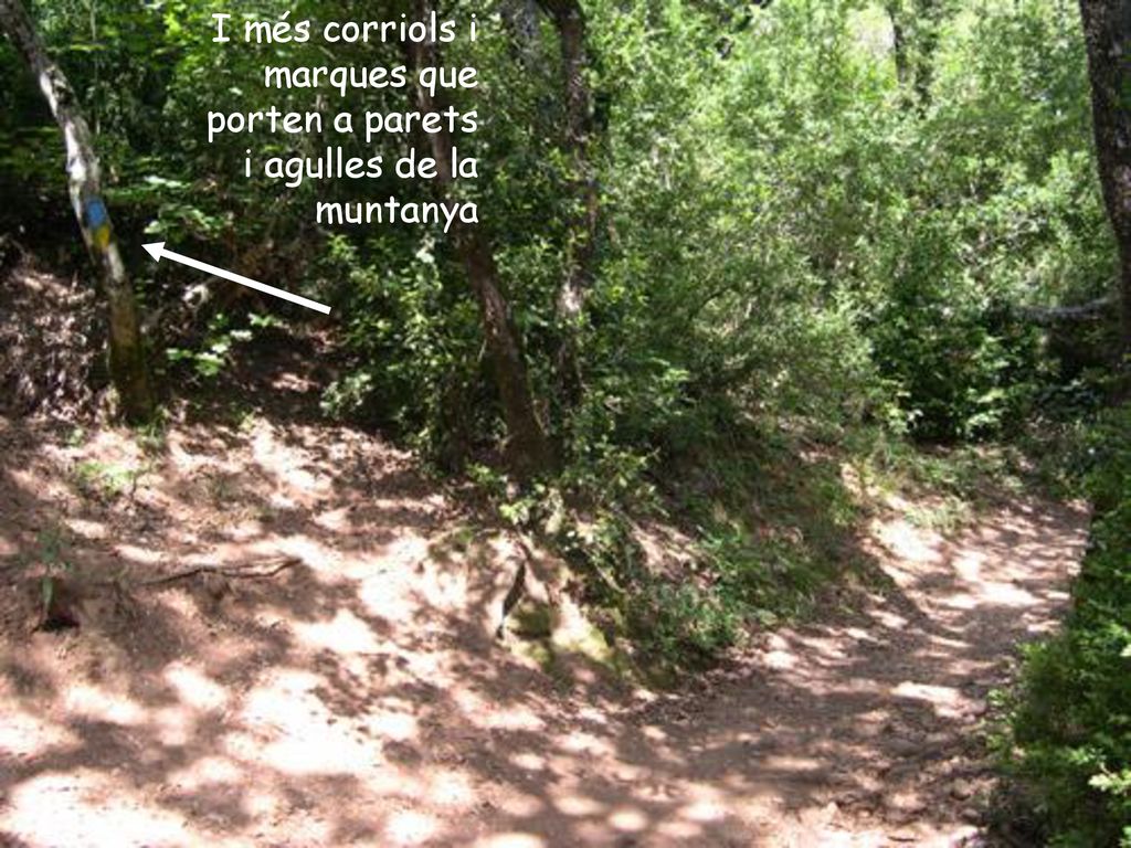 I més corriols i marques que porten a parets i agulles de la muntanya