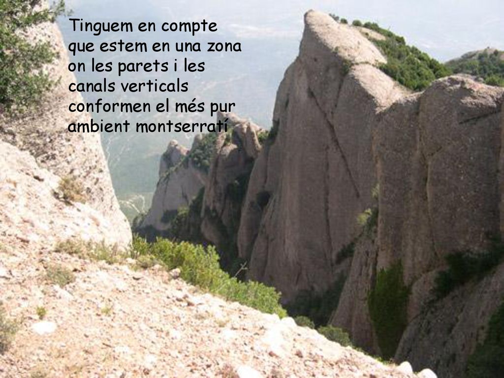 Tinguem en compte que estem en una zona on les parets i les canals verticals conformen el més pur ambient montserratí
