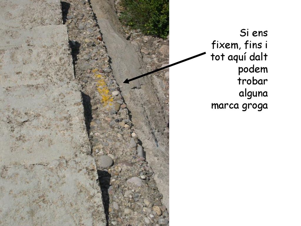 Si ens fixem, fins i tot aquí dalt podem trobar alguna marca groga