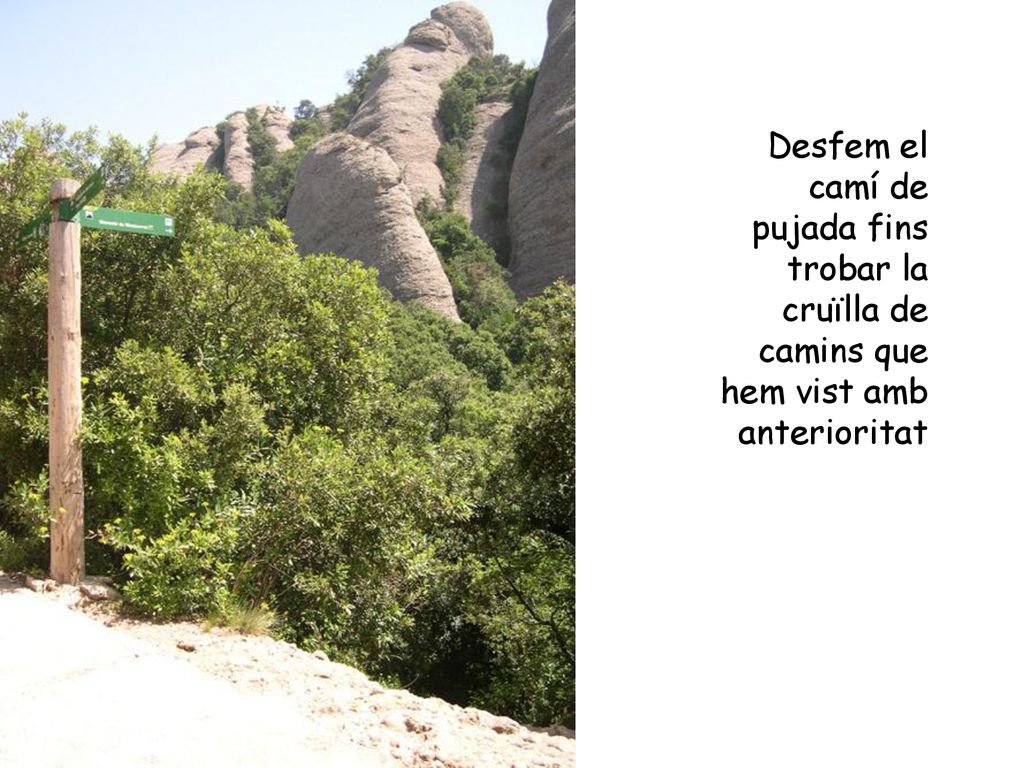Desfem el camí de pujada fins trobar la cruïlla de camins que hem vist amb anterioritat