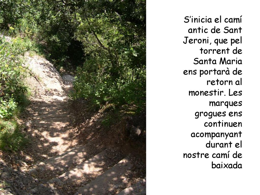 S’inicia el camí antic de Sant Jeroni, que pel torrent de Santa Maria ens portarà de retorn al monestir.