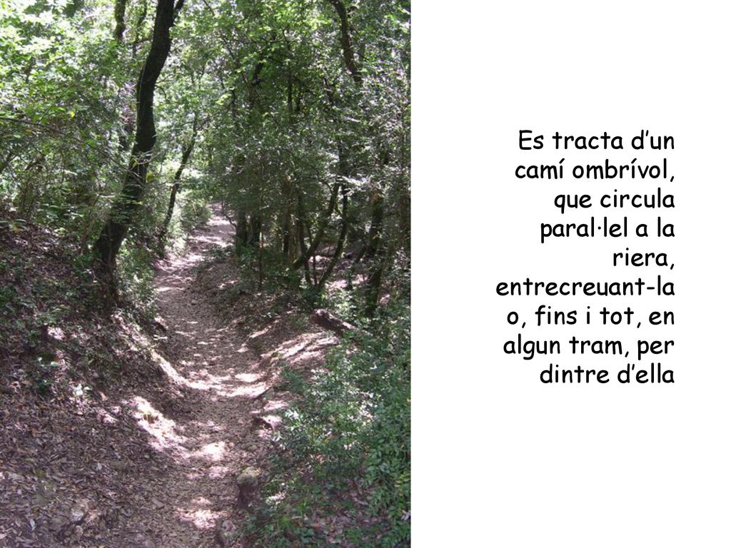 Es tracta d’un camí ombrívol, que circula paral·lel a la riera, entrecreuant-la o, fins i tot, en algun tram, per dintre d’ella