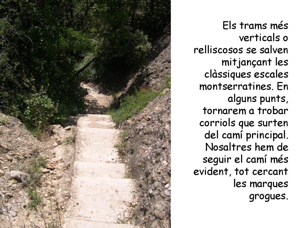 Els trams més verticals o relliscosos se salven mitjançant les clàssiques escales montserratines.