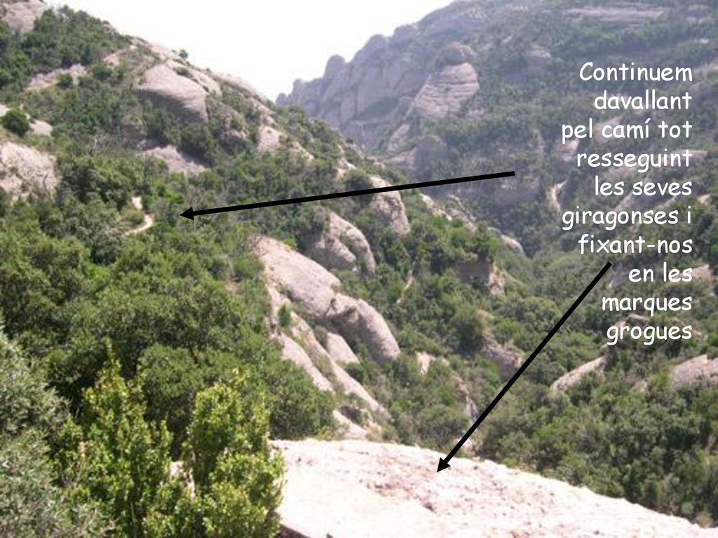 Continuem davallant pel camí tot resseguint les seves giragonses i fixant-nos en les marques grogues
