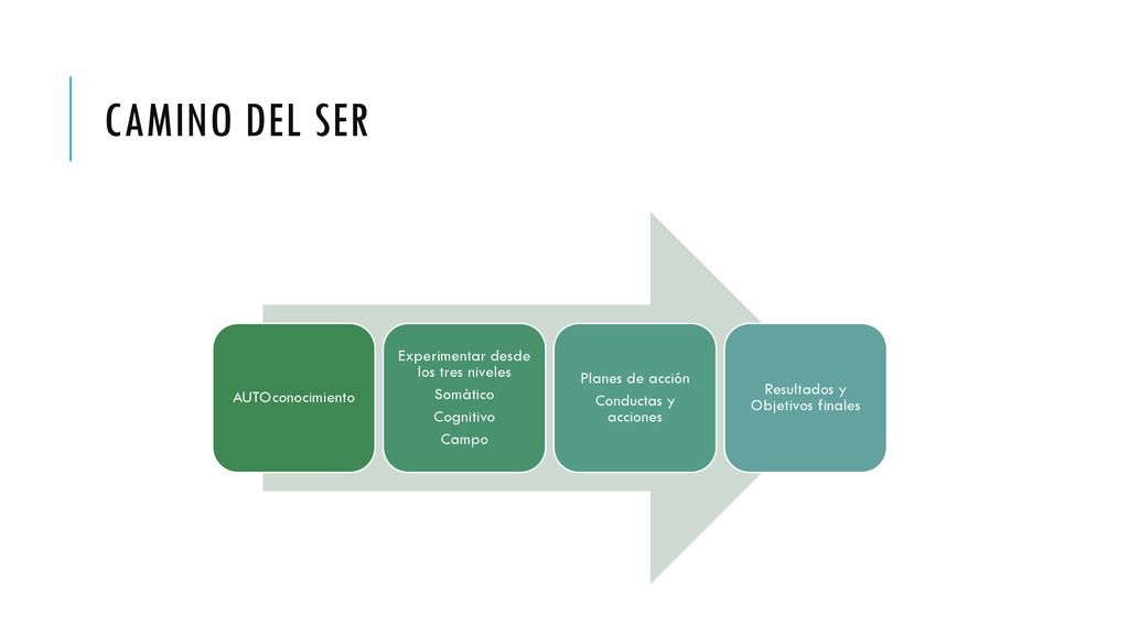 Camino del Ser Experimentar desde los tres niveles Planes de acción