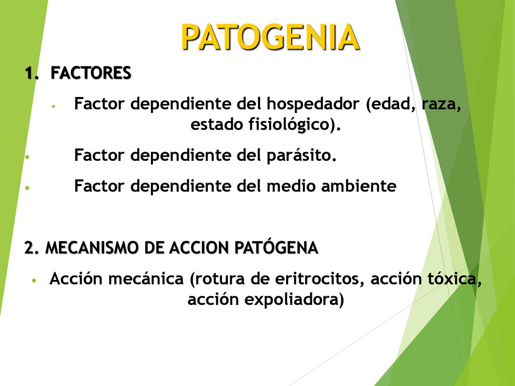 Factor dependiente del hospedador (edad, raza, estado fisiológico).