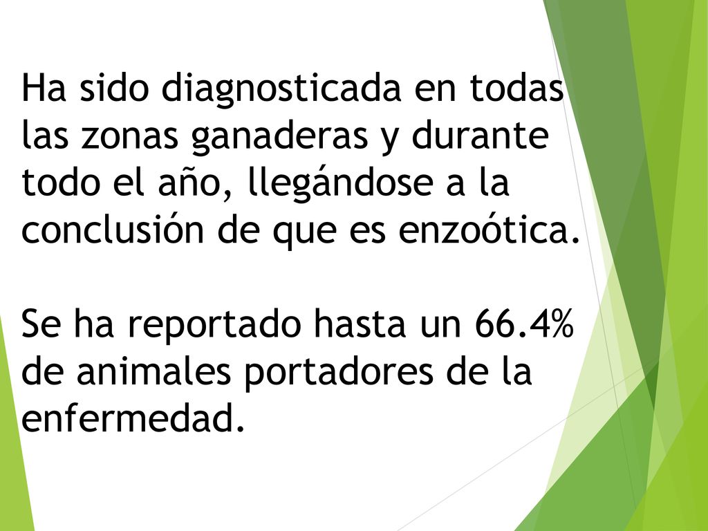 Ha sido diagnosticada en todas las zonas ganaderas y durante todo el año, llegándose a la conclusión de que es enzoótica.
