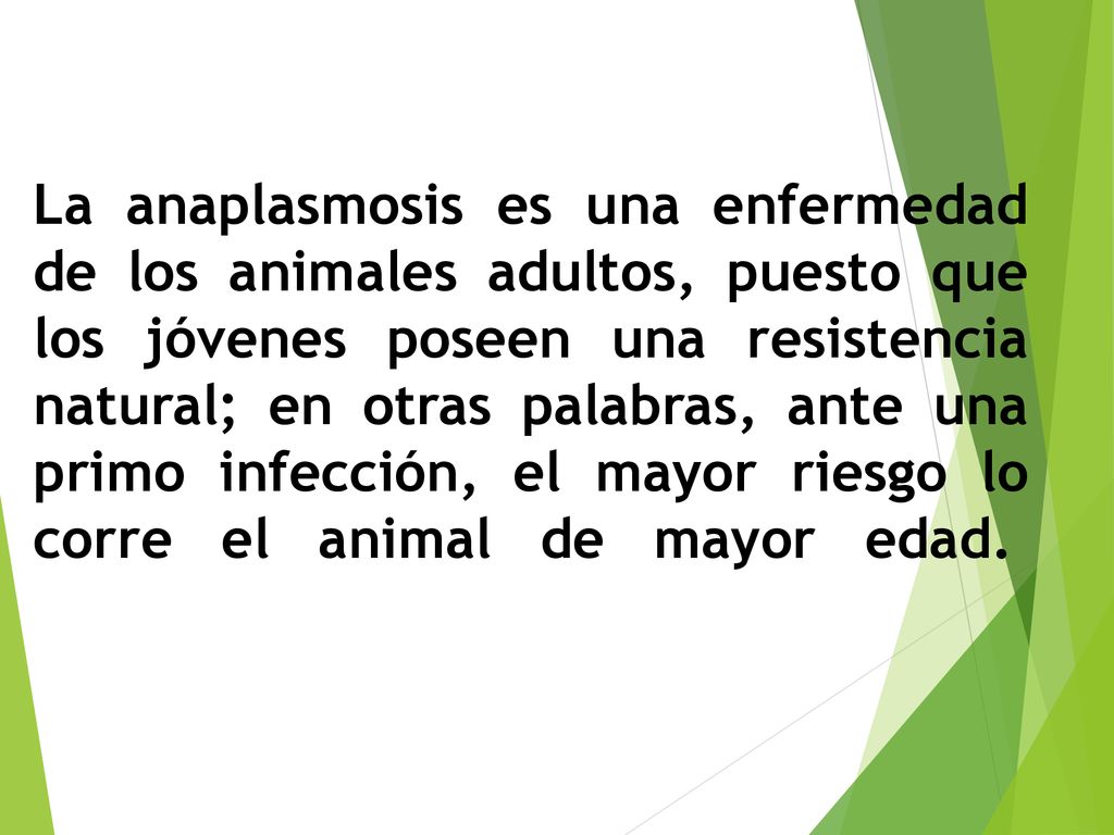 La anaplasmosis es una enfermedad de los animales adultos, puesto que los jóvenes poseen una resistencia natural; en otras palabras, ante una primo infección, el mayor riesgo lo corre el animal de mayor edad.