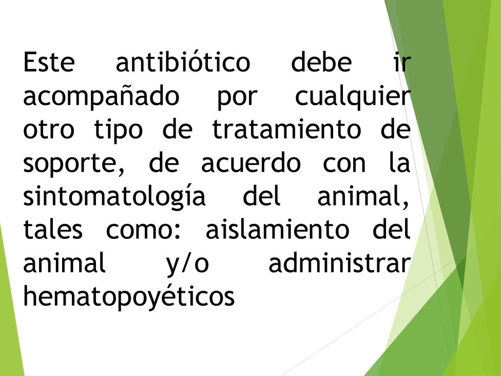Este antibiótico debe ir acompañado por cualquier otro tipo de tratamiento de soporte, de acuerdo con la sintomatología del animal, tales como: aislamiento del animal y/o administrar hematopoyéticos