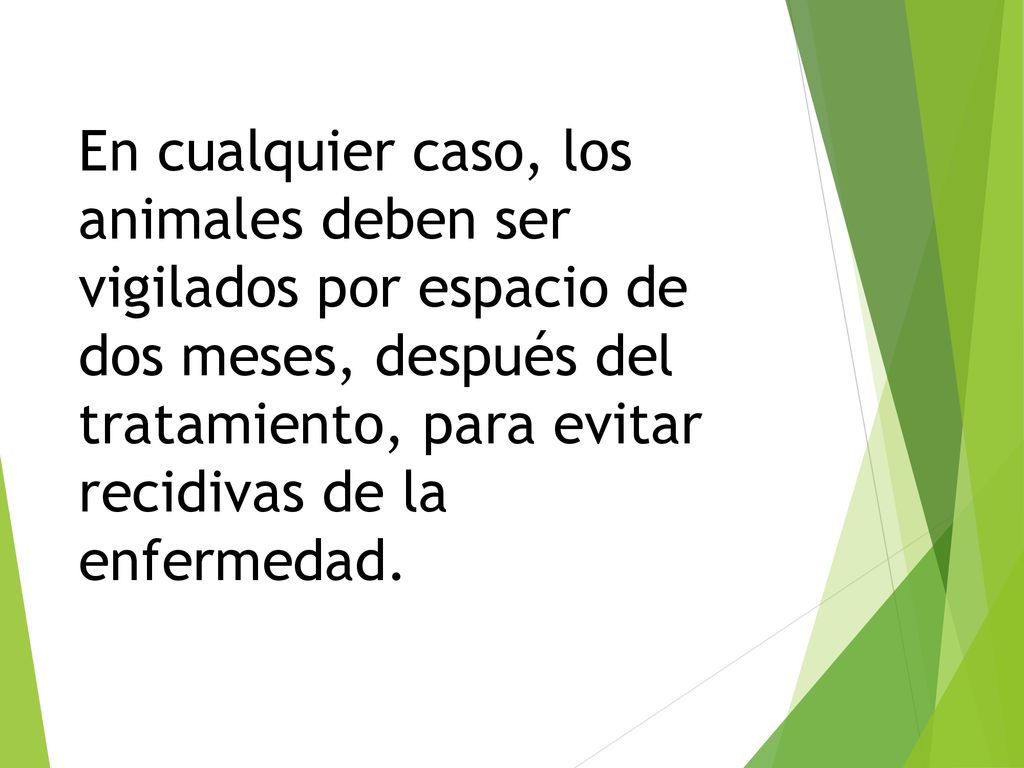 En cualquier caso, los animales deben ser vigilados por espacio de dos meses, después del tratamiento, para evitar recidivas de la enfermedad.