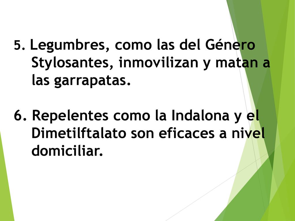 5. Legumbres, como las del Género Stylosantes, inmovilizan y matan a las garrapatas.