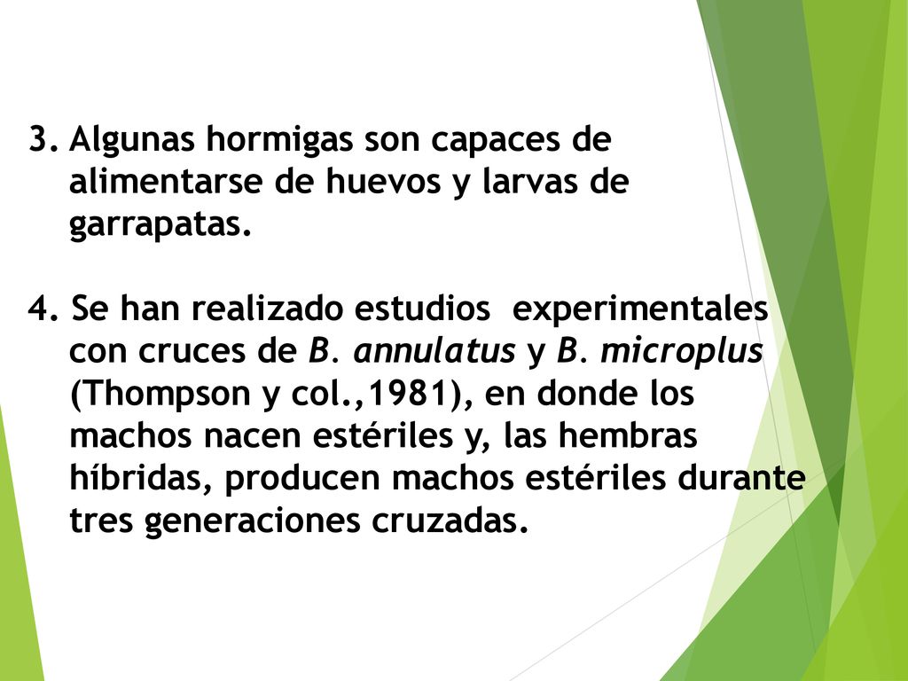 3. Algunas hormigas son capaces de alimentarse de huevos y larvas de garrapatas.
