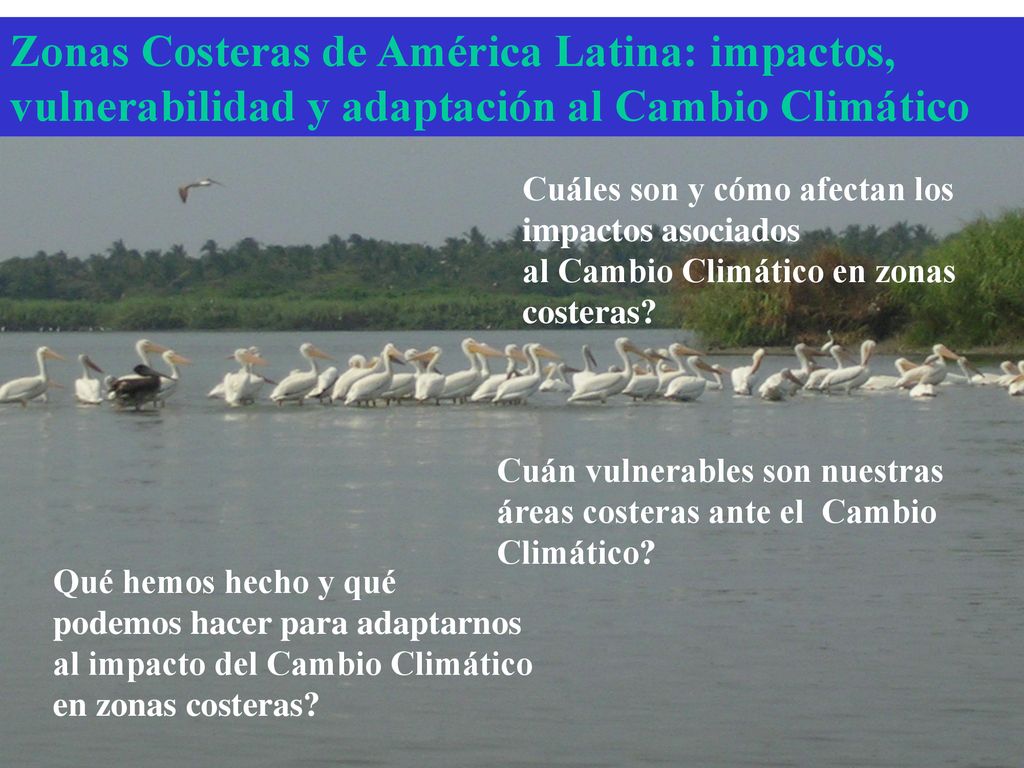 Zonas Costeras de América Latina: impactos, vulnerabilidad y adaptación al Cambio Climático
