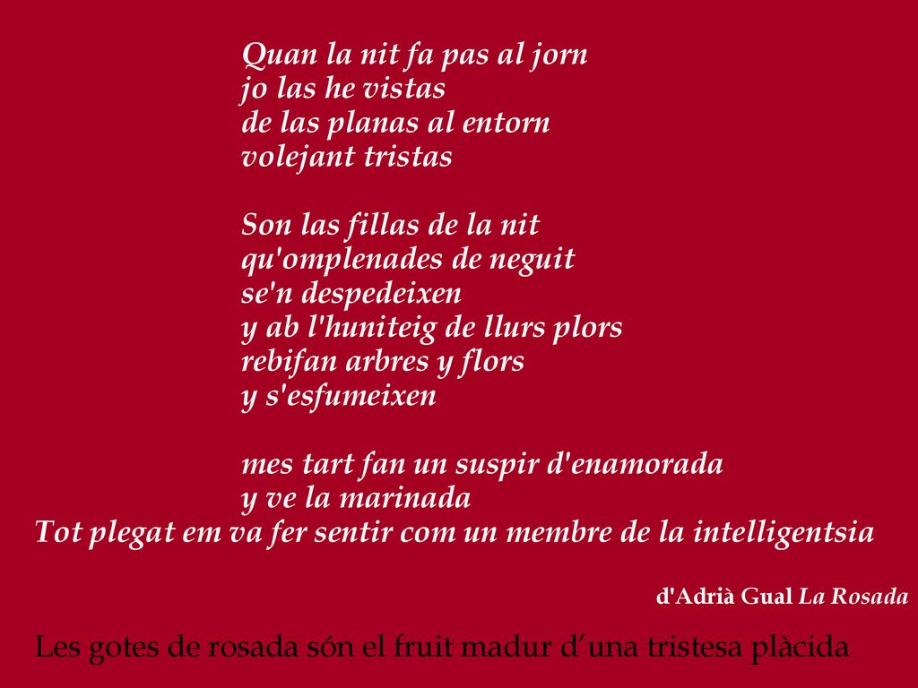Tot plegat em va fer sentir com un membre de la intelligentsia