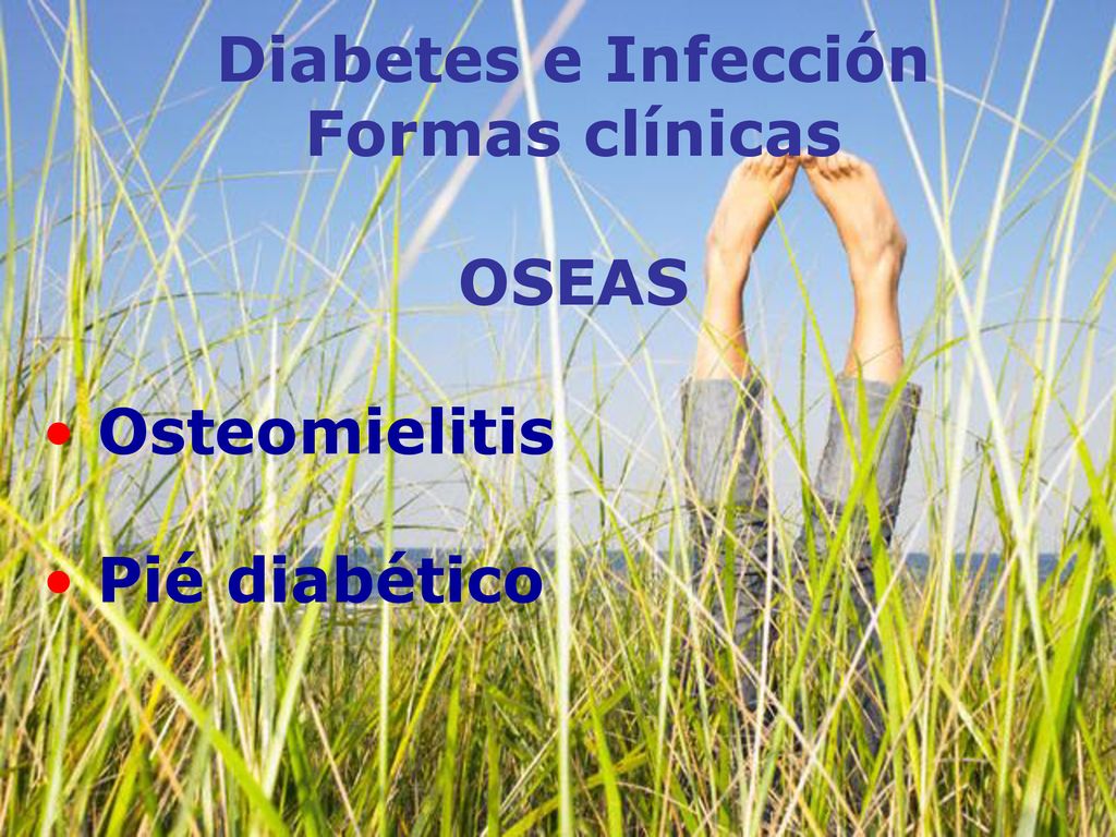 Diabetes e Infección Formas clínicas OSEAS Osteomielitis Pié diabético