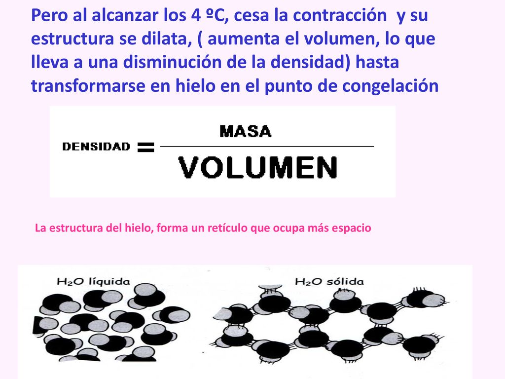 Pero al alcanzar los 4 ºC, cesa la contracción y su estructura se dilata, ( aumenta el volumen, lo que lleva a una disminución de la densidad) hasta transformarse en hielo en el punto de congelación